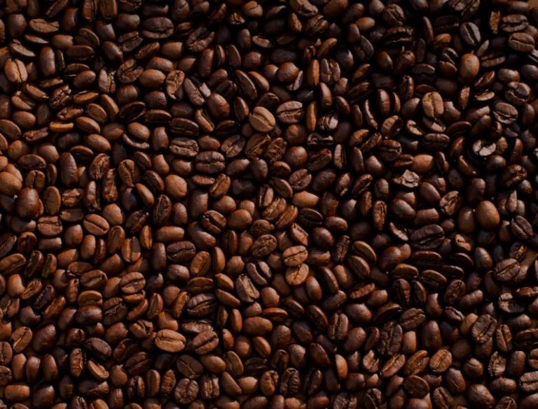 Coffee - coffee bean lot