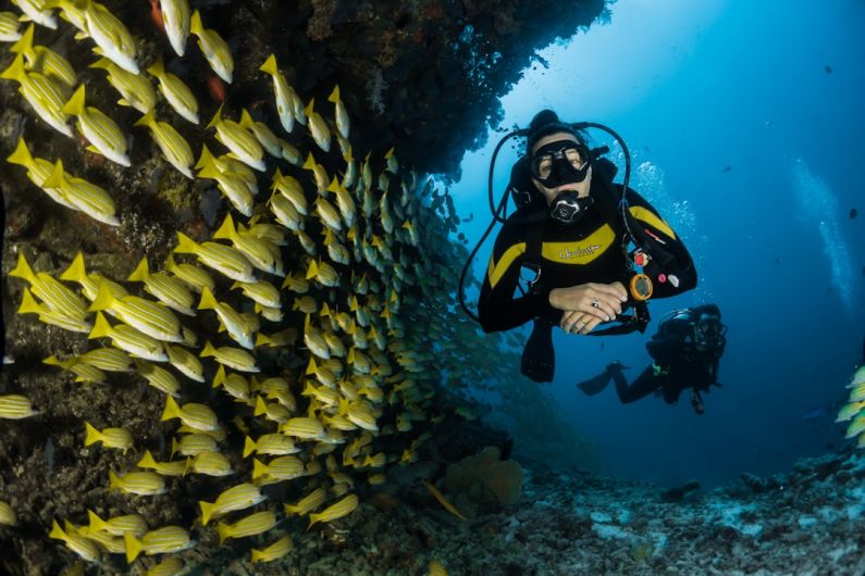 Scuba Diving - two people scuba diving underwater