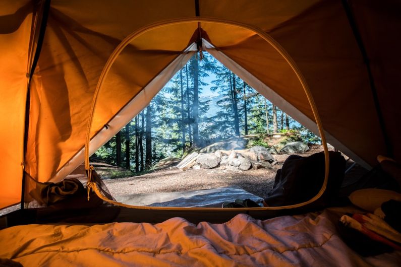 Camping - orange camping tent near green trees