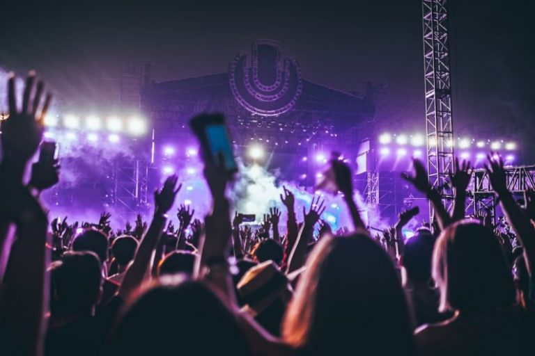 Festivals - group of people raising there hands in concert