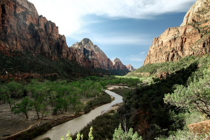 National Parks - flowing river near tall trees viewing mountain under blue and white skies