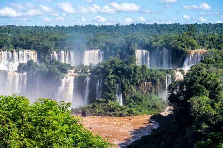 Iguaçu - a group of waterfalls surrounded by trees