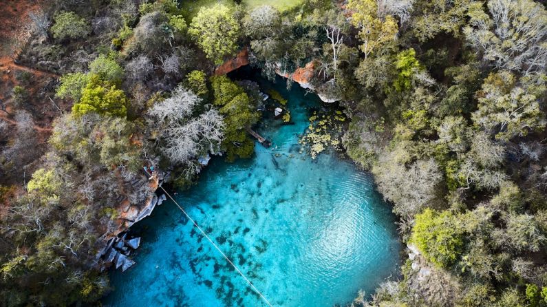 Chapada Diamantina - green and brown trees beside blue body of water during daytime