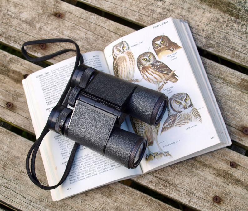 Bird Watching - black binoculars on opened book