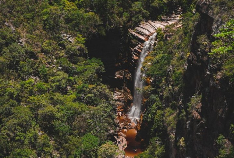 Chapada Diamantina - waterfalls in the middle of green trees
