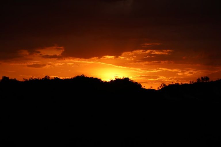 Jalapão - view of golden hour